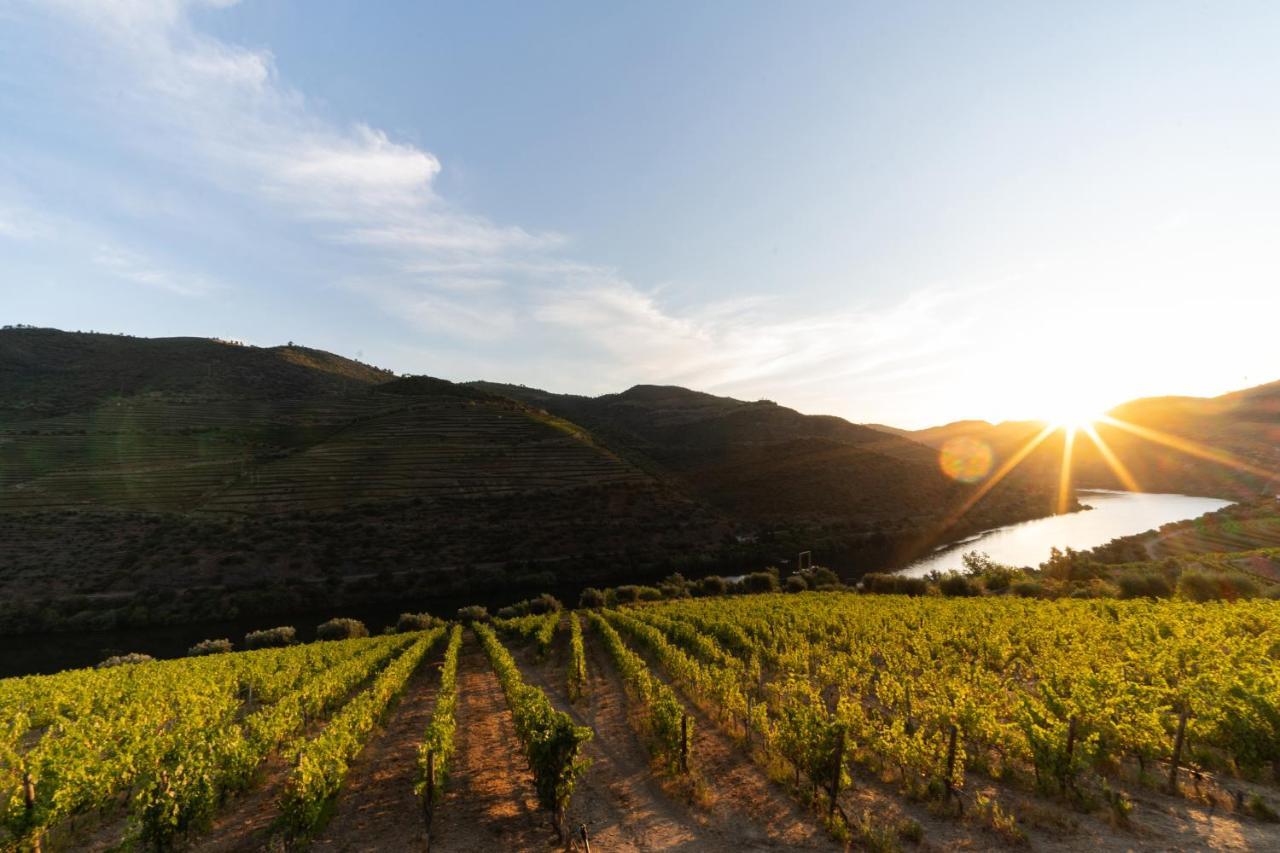 Quinta De S. Jose - Turismo Rural Ervedosa do Douro Exterior photo