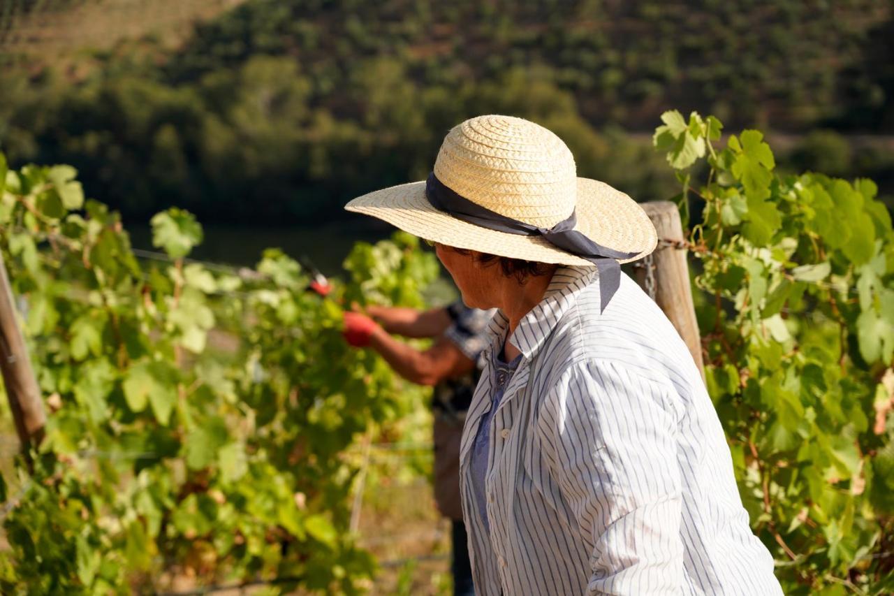 Quinta De S. Jose - Turismo Rural Ervedosa do Douro Exterior photo